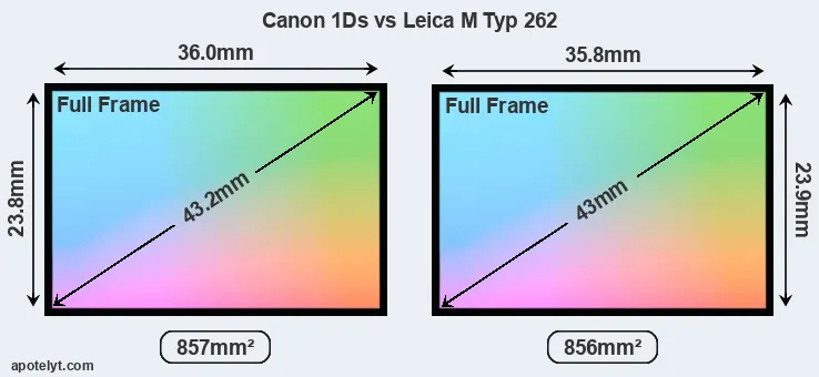 Canon 1Ds and Leica M Typ 262 sensor measures