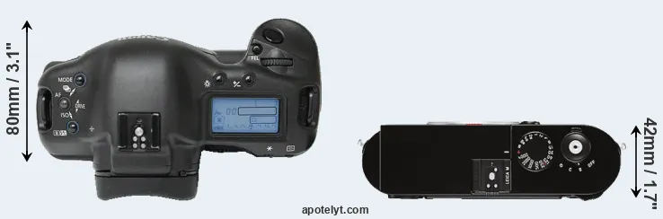 Compare 1Ds versus M Typ 262 top