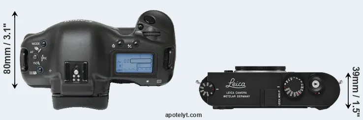 Compare 1Ds versus M10-P top
