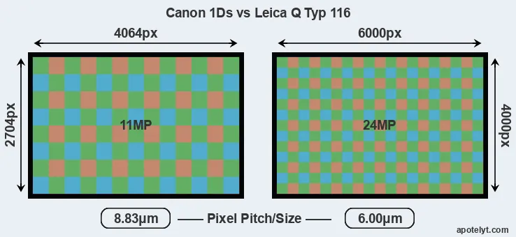1Ds versus Q Typ 116 MP