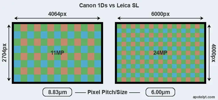 1Ds versus Leica SL MP