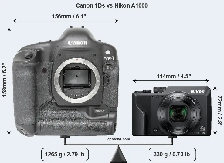 Size Canon 1Ds vs Nikon A1000