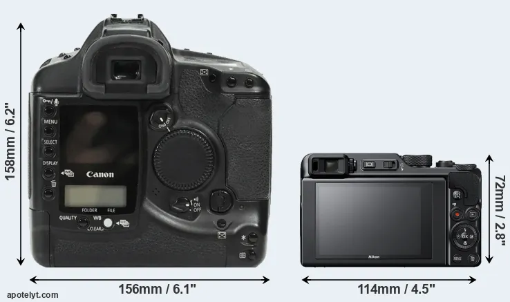 Comparison 1Ds or A1000 rear