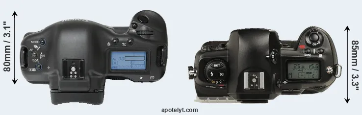 Compare 1Ds versus D1 top