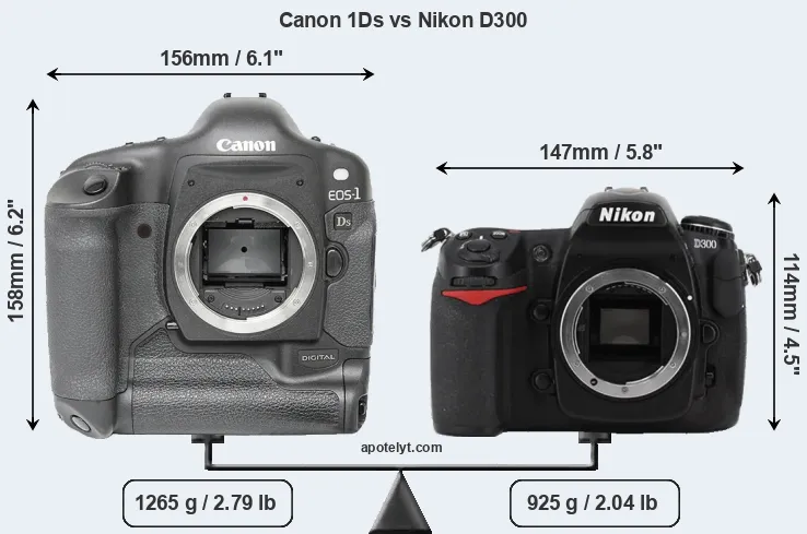 Size Canon 1Ds vs Nikon D300