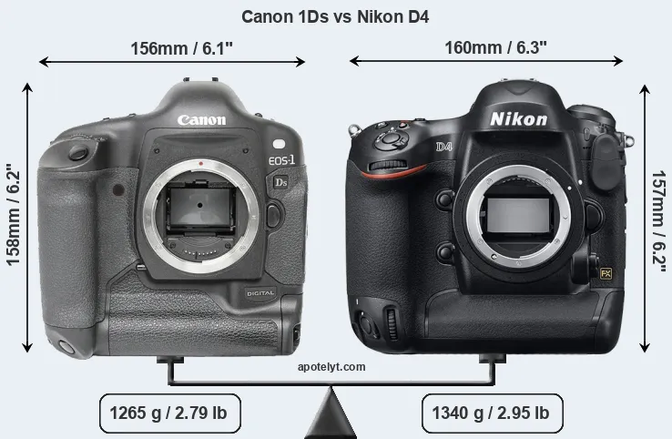 Size Canon 1Ds vs Nikon D4