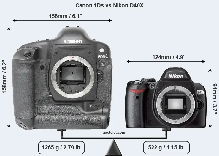 Size Canon 1Ds vs Nikon D40X