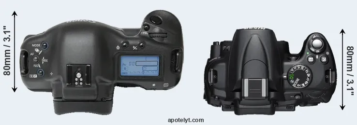 Compare 1Ds versus D5000 top