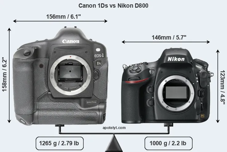 Size Canon 1Ds vs Nikon D800