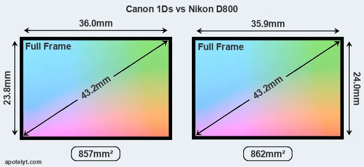 Canon 1Ds and Nikon D800 sensor measures