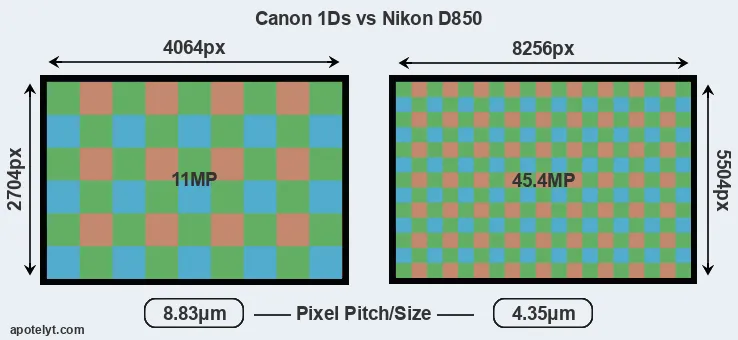 1Ds versus D850 MP