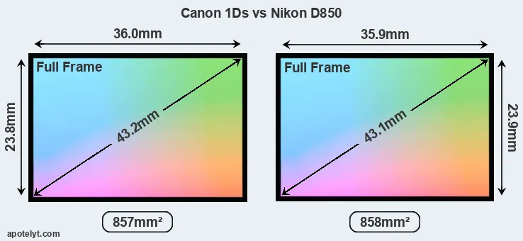 Canon 1Ds and Nikon D850 sensor measures
