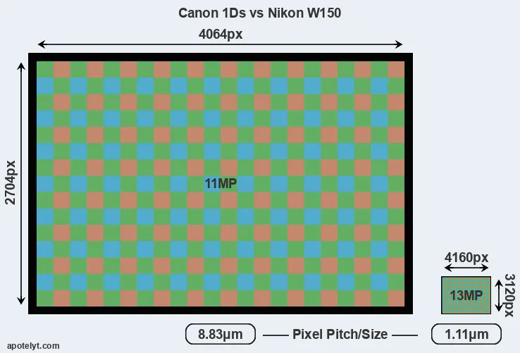 1Ds versus W150 MP
