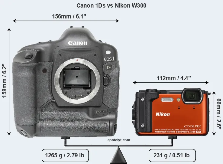 Size Canon 1Ds vs Nikon W300