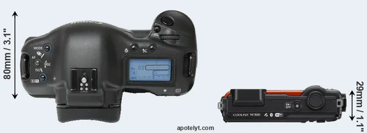 Compare 1Ds versus W300 top