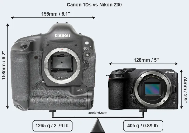 Size Canon 1Ds vs Nikon Z30