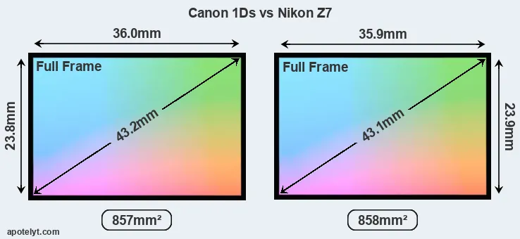 Canon 1Ds and Nikon Z7 sensor measures