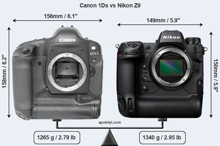 Size Canon 1Ds vs Nikon Z9