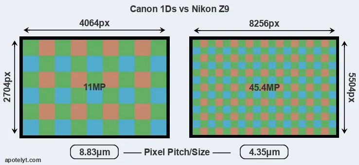 1Ds versus Z9 MP