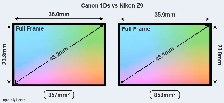 Canon 1Ds and Nikon Z9 sensor measures