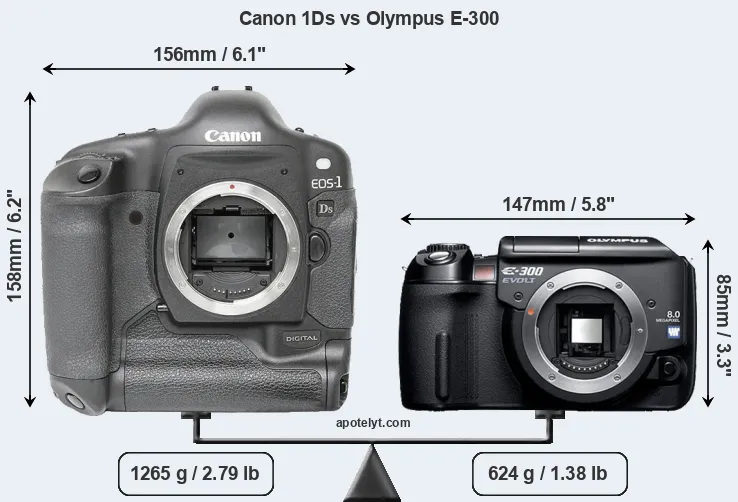 Size Canon 1Ds vs Olympus E-300