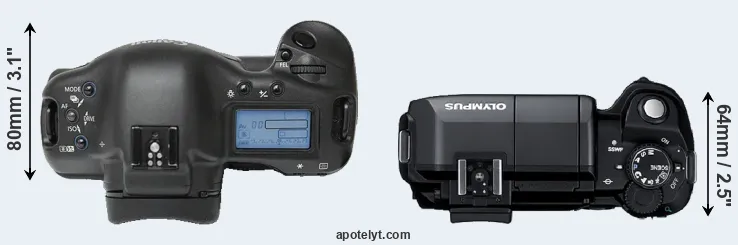 Compare 1Ds versus E-300 top