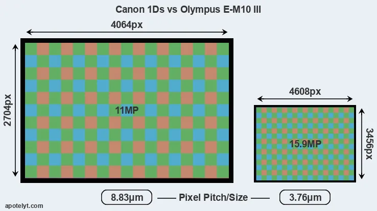1Ds versus E-M10 III MP