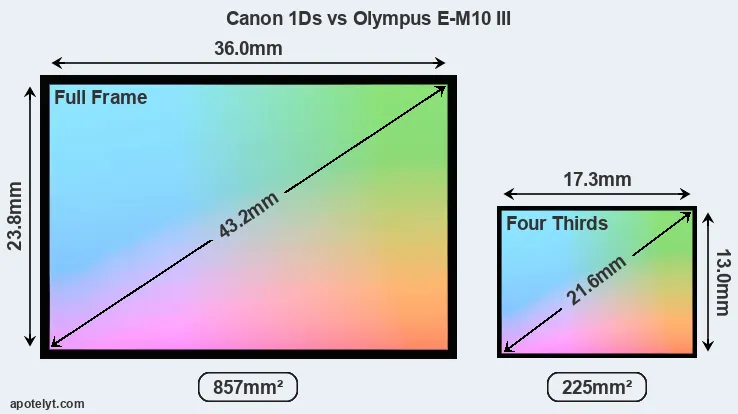 Canon 1Ds and Olympus E-M10 III sensor measures