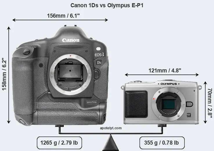 Size Canon 1Ds vs Olympus E-P1