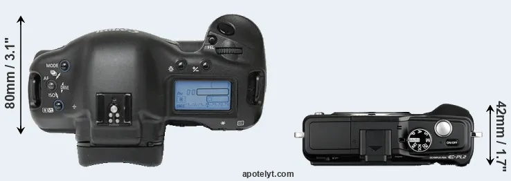 Compare 1Ds versus E-PL2 top
