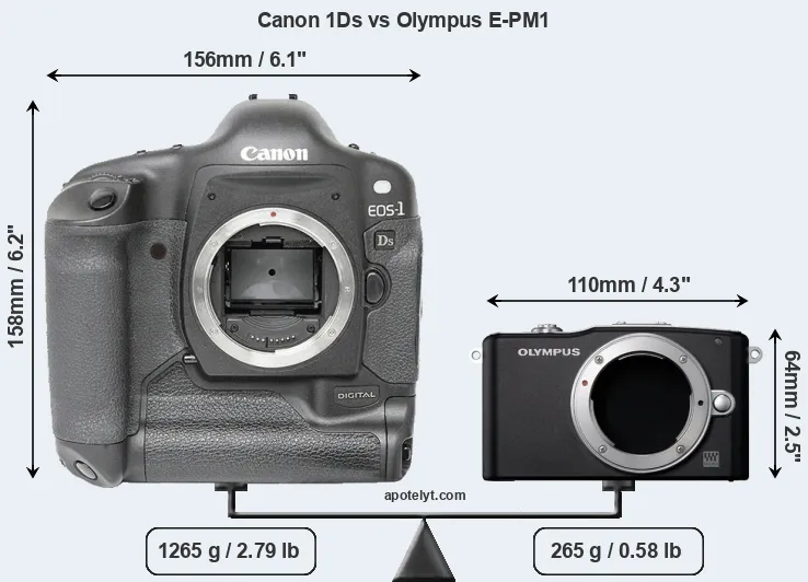 Size Canon 1Ds vs Olympus E-PM1