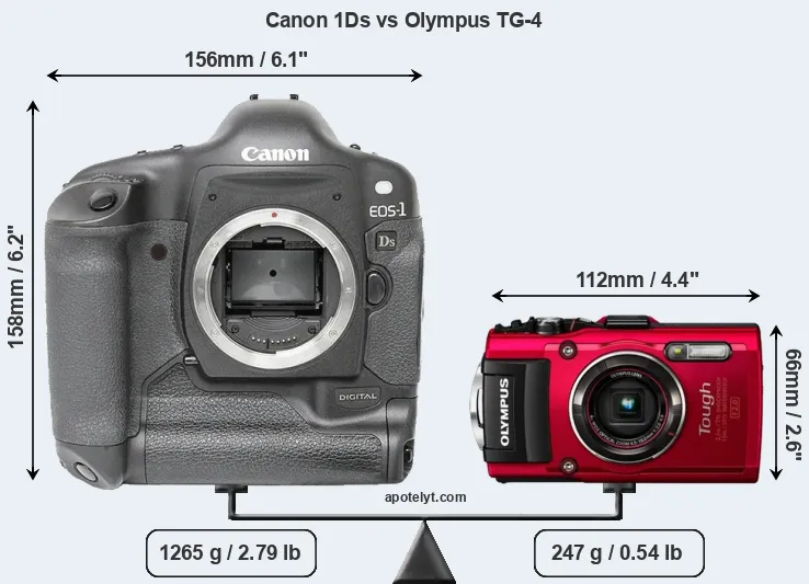 Size Canon 1Ds vs Olympus TG-4