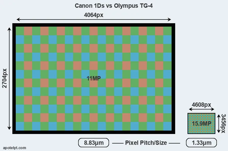1Ds versus TG-4 MP