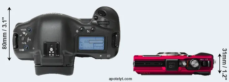 Compare 1Ds versus TG-4 top