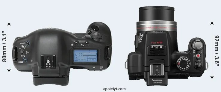 Compare 1Ds versus FZ100 top