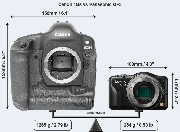 Size Canon 1Ds vs Panasonic GF3