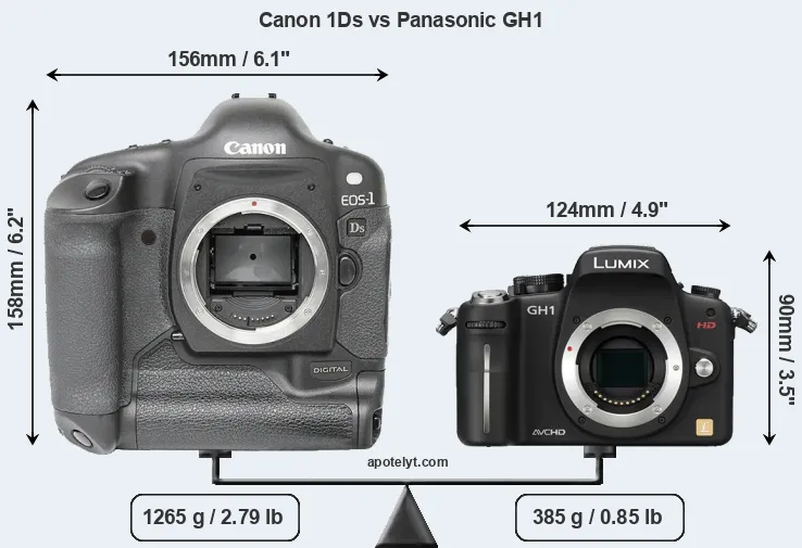 Size Canon 1Ds vs Panasonic GH1