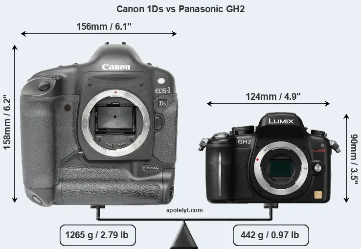 Size Canon 1Ds vs Panasonic GH2