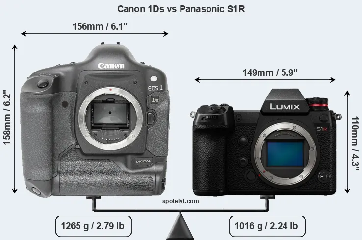 Size Canon 1Ds vs Panasonic S1R