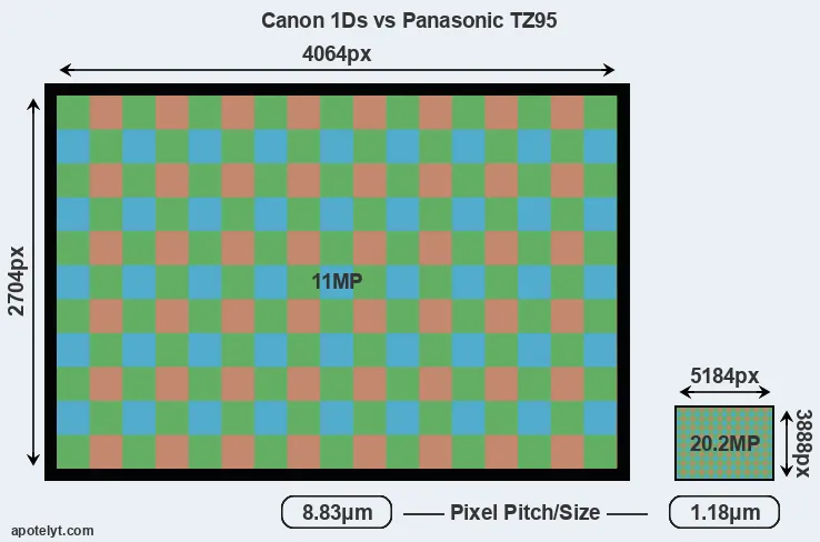 1Ds versus TZ95 MP