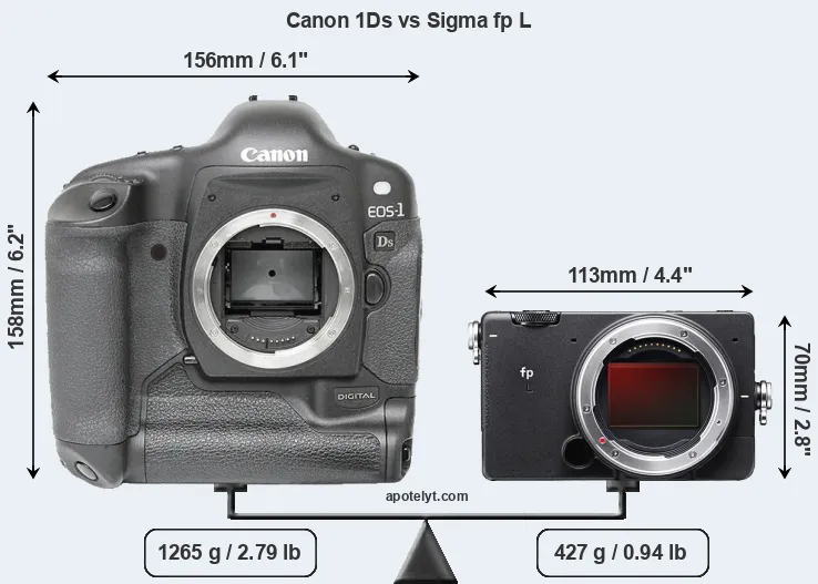 Size Canon 1Ds vs Sigma fp L