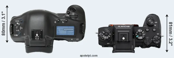 Compare 1Ds versus A1 top