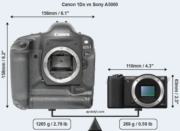 Size Canon 1Ds vs Sony A5000