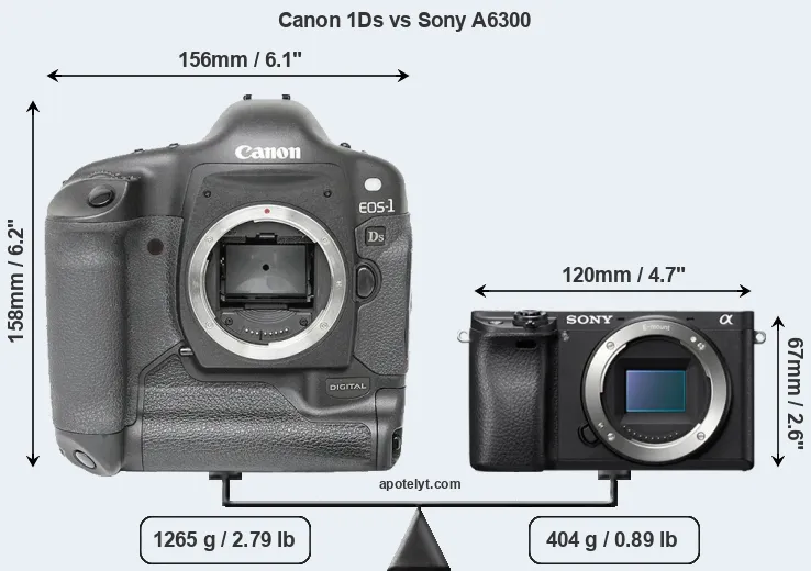 Size Canon 1Ds vs Sony A6300