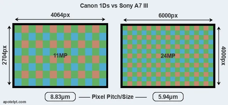 1Ds versus A7 III MP