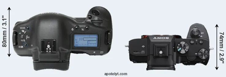 Compare 1Ds versus A7 III top