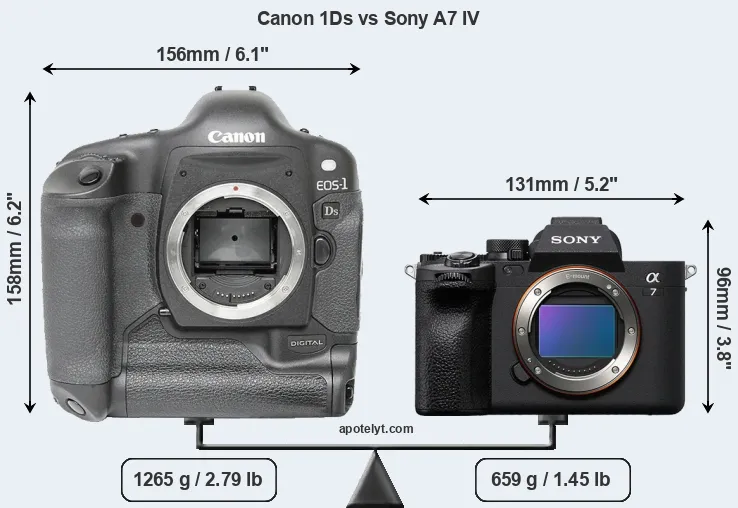 Size Canon 1Ds vs Sony A7 IV