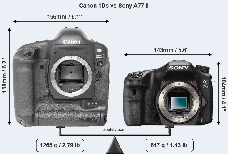 Size Canon 1Ds vs Sony A77 II