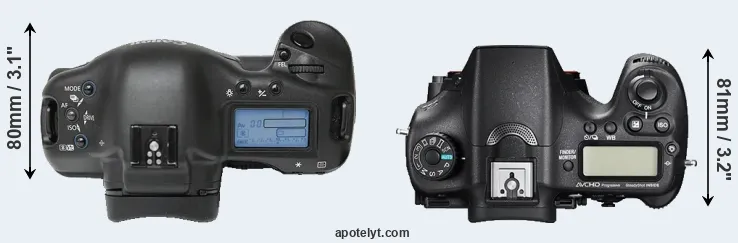 Compare 1Ds versus A77 II top