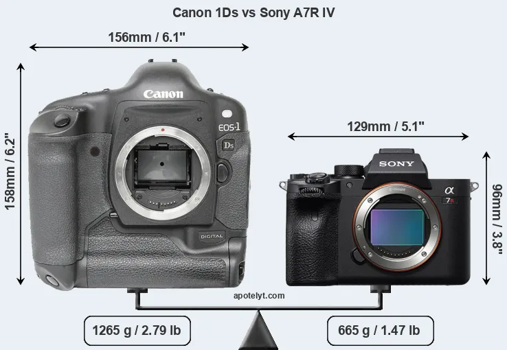 Size Canon 1Ds vs Sony A7R IV